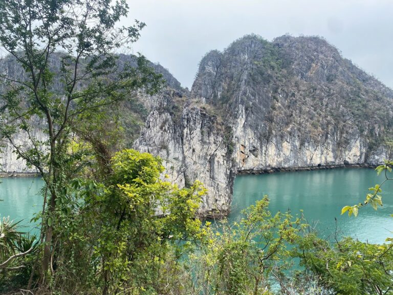 Bơi Lội & Leo Núi